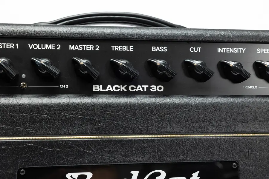 Bad Cat Mod Shop Black Cat 30 Head 