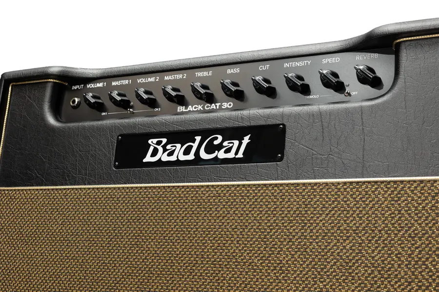 Bad Cat Mod Shop Black Cat 30 Combo 