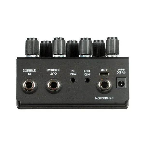 Old Blood Noise Bathing Ink Luminal Delay Pedal in Ink finish 