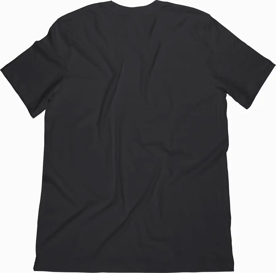 Ernie Ball 4858 Classic Eagle T-Shirt Large 