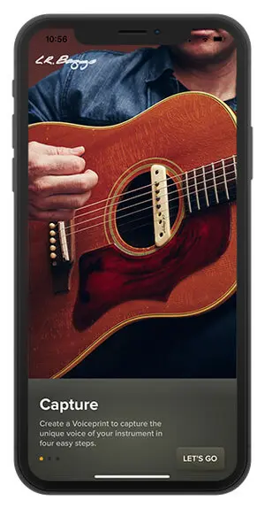 L.R.Baggs Voiceprint DI Pedal 