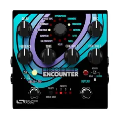 Source Audio Encounter Ambient Delay + Reverb