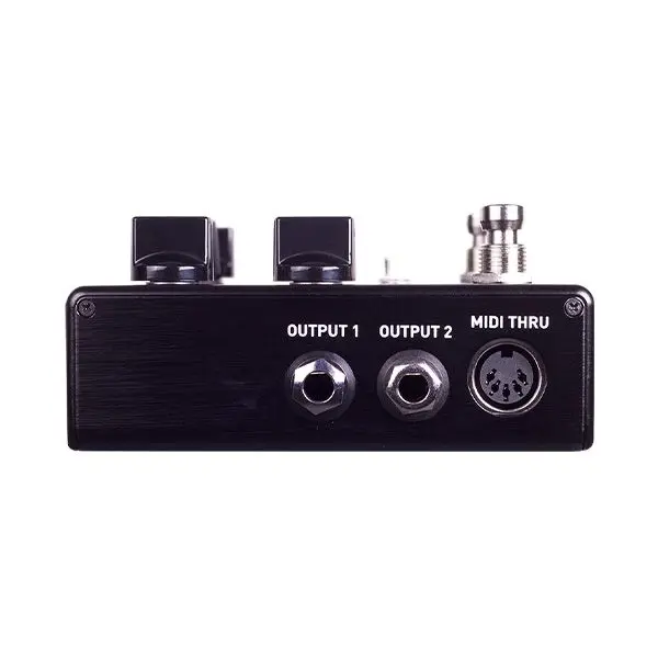 Source Audio Encounter Ambient Delay + Reverb 