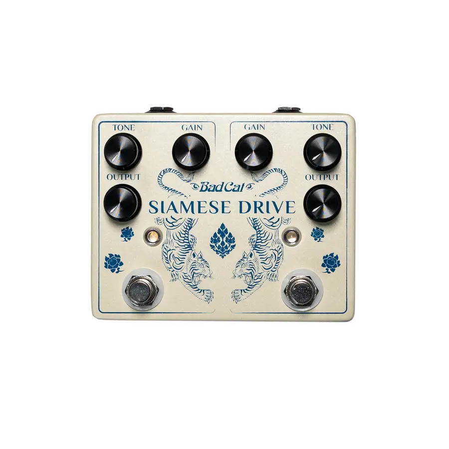 Bad Cat Siamese Drive 