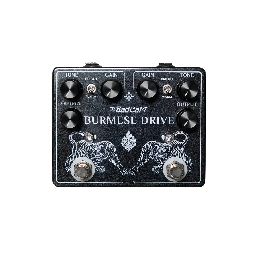 Bad Cat Burmese Drive 