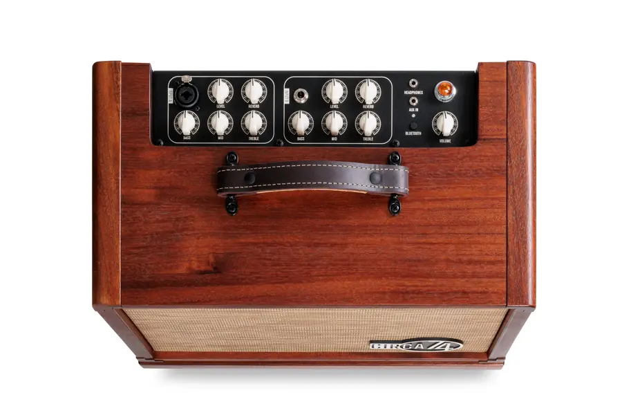Taylor Circa 74 AV150-10 Amp w/stand Mahogany 