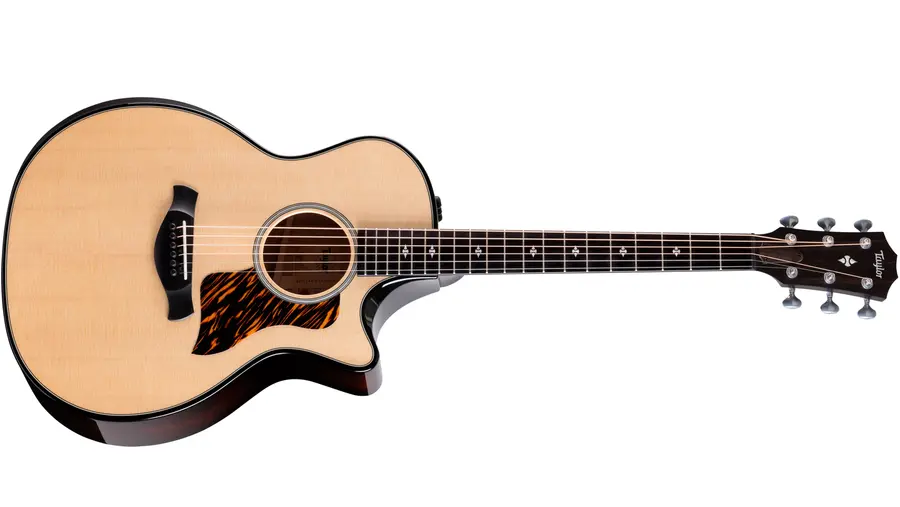 Taylor Builder's Edition 514ce Natural top 