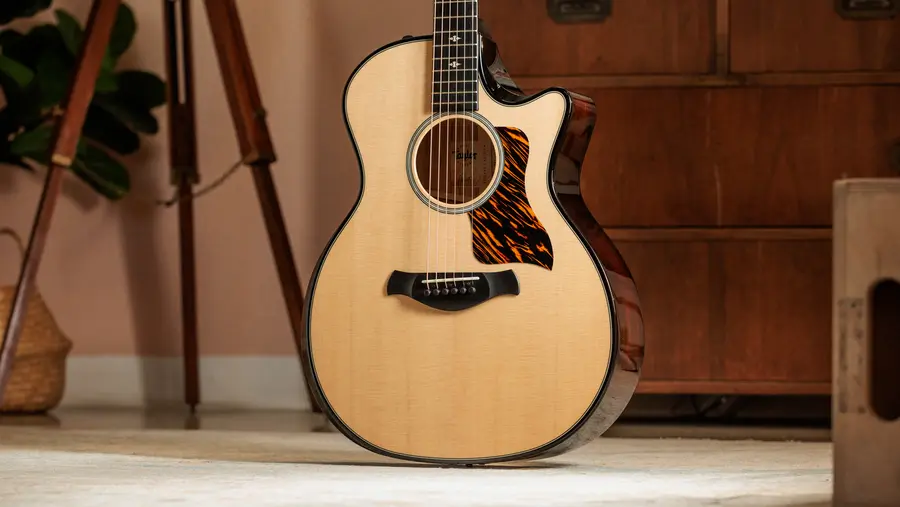 Taylor Builder's Edition 514ce Natural top 