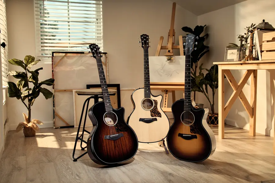 Taylor Builder's Edition 514ce Natural top 