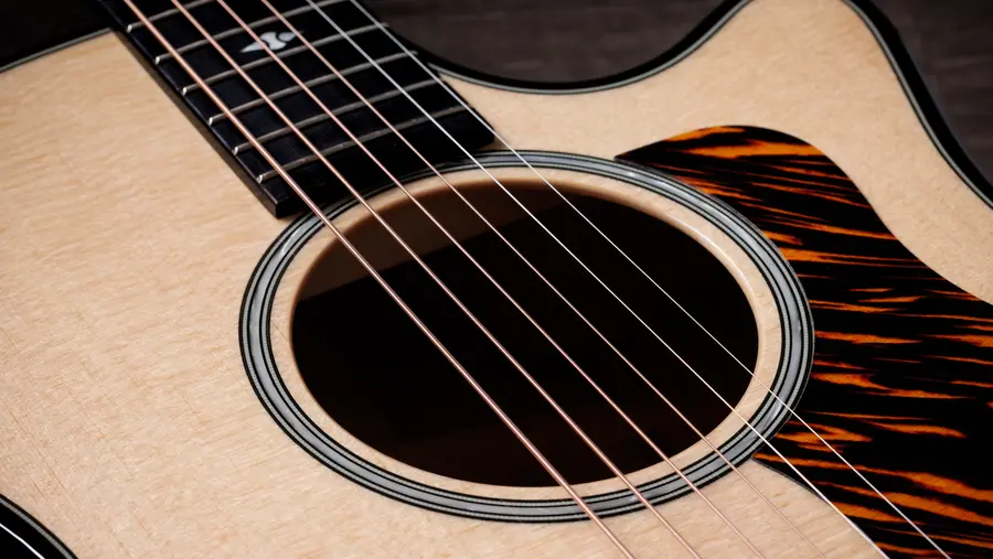 Taylor Builder's Edition 514ce Natural top 