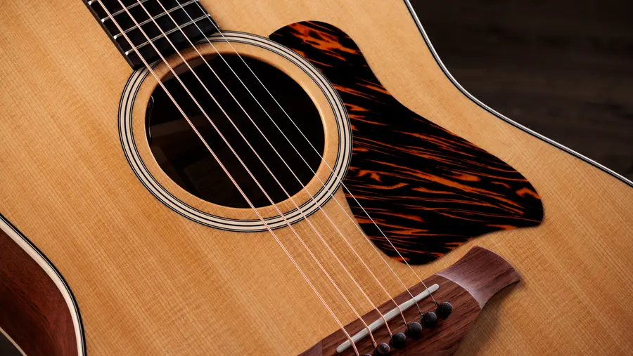 Taylor Gold Label 517e 