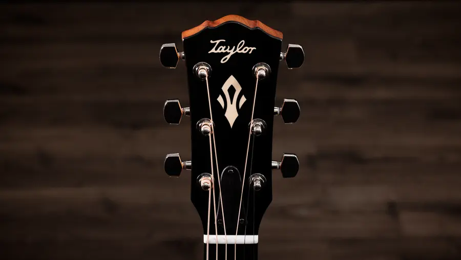 Taylor Gold Label 517e 