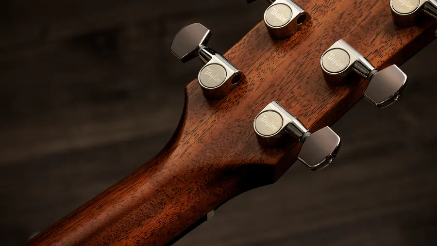 Taylor Gold Label 517e 