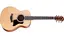 Taylor GS Mini Sapele