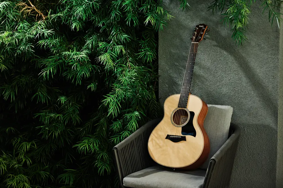 Taylor GS Mini Sapele 