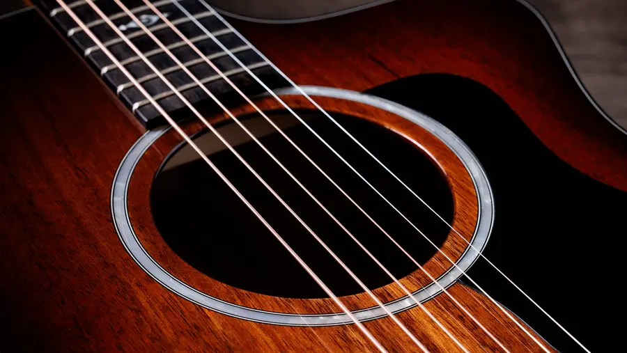 Taylor 224ce-K DLX 