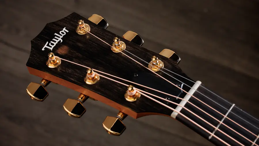 Taylor 224ce-K DLX 