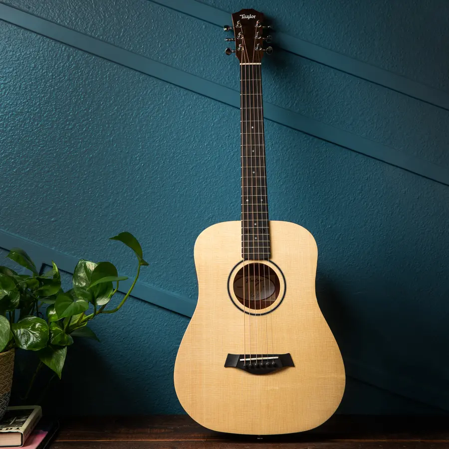 Taylor BT1 