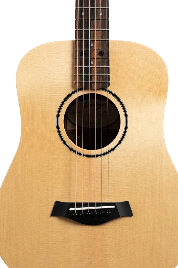 Taylor BT1 