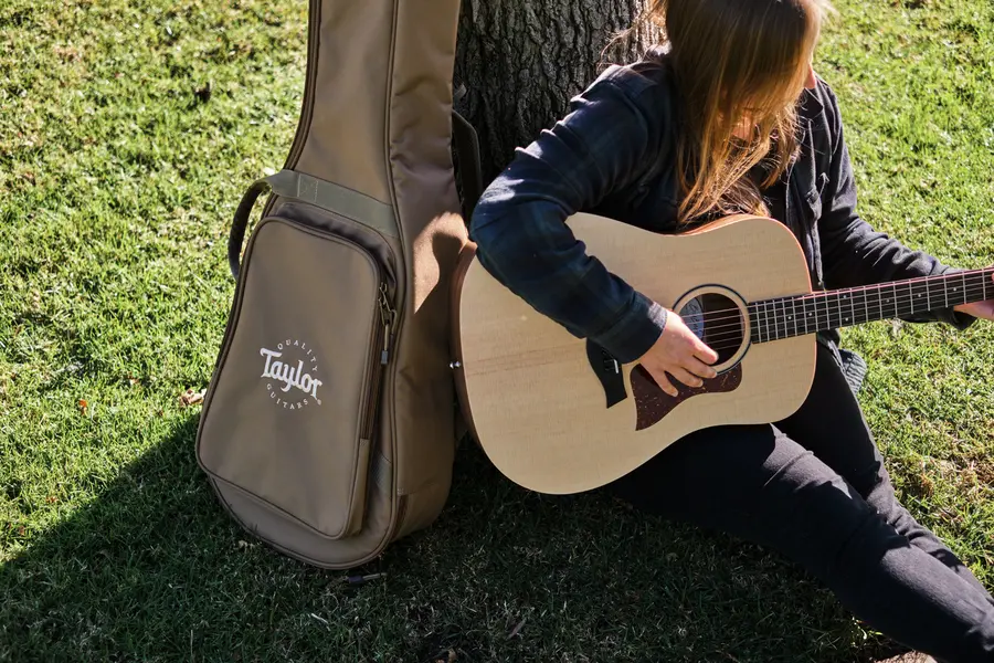 Taylor BT1 