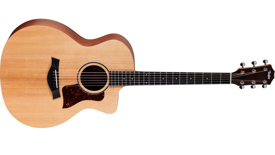Taylor 14ce 