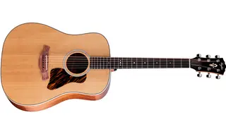 Taylor Gold Label 510e
