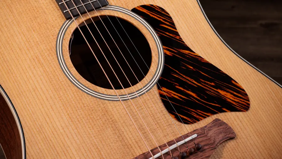 Taylor Gold Label 510e 