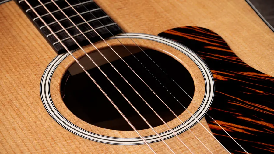 Taylor Gold Label 510e 