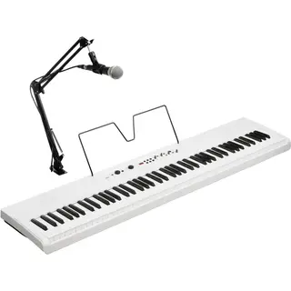 Korg L1 Live Liano LIVE!