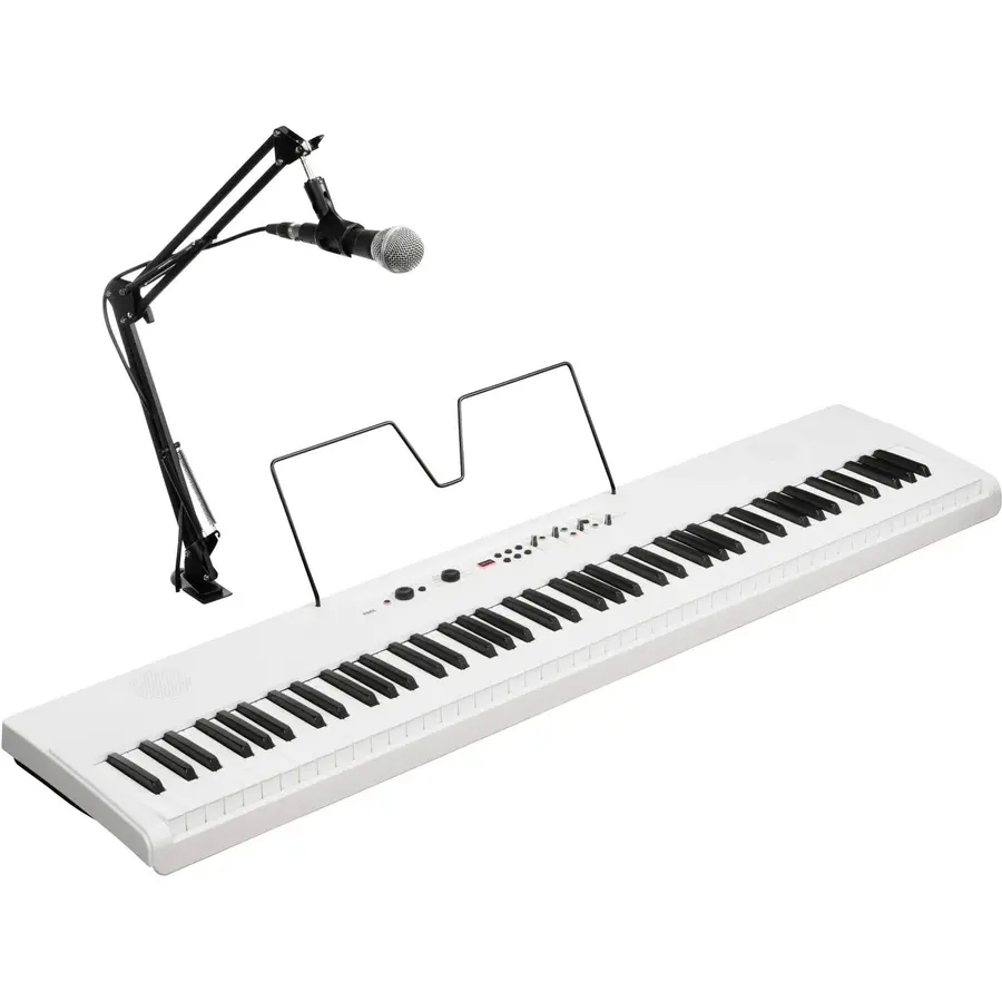 Korg L1 Live Liano LIVE! 