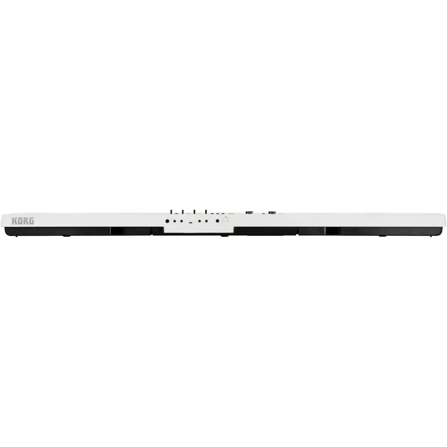 Korg L1 Live Liano LIVE! 