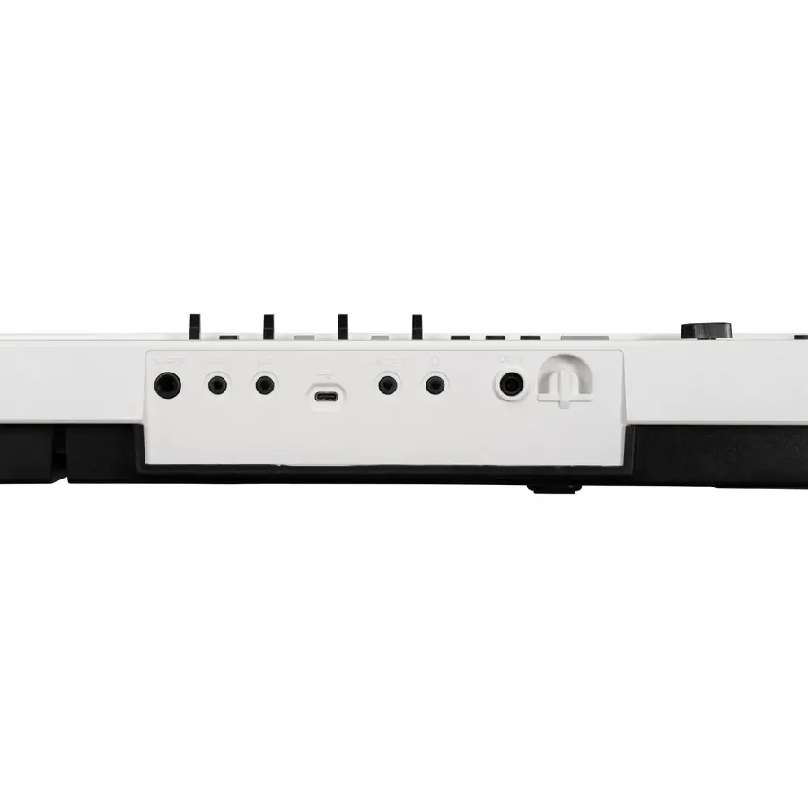 Korg L1 Live Liano LIVE! 