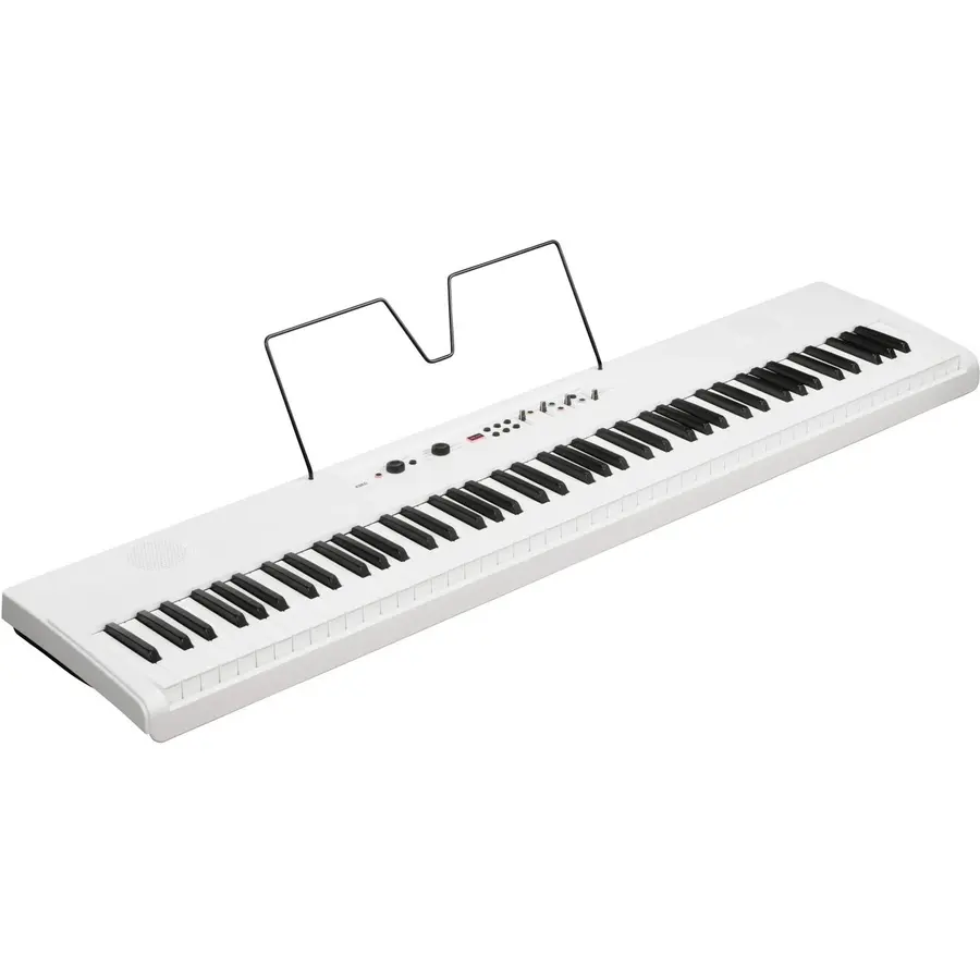 Korg L1 Live Liano LIVE! 
