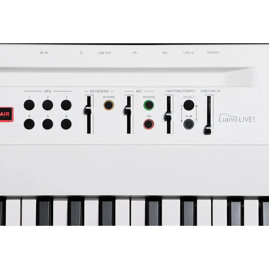Korg L1 Live Liano LIVE! 