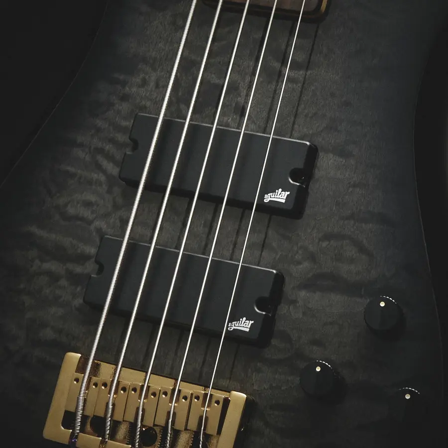 Spector Icon NS5 Black Stain 
