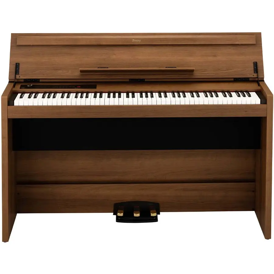 Korg Poetry Magnifique 