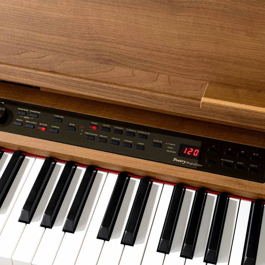 Korg Poetry Magnifique 