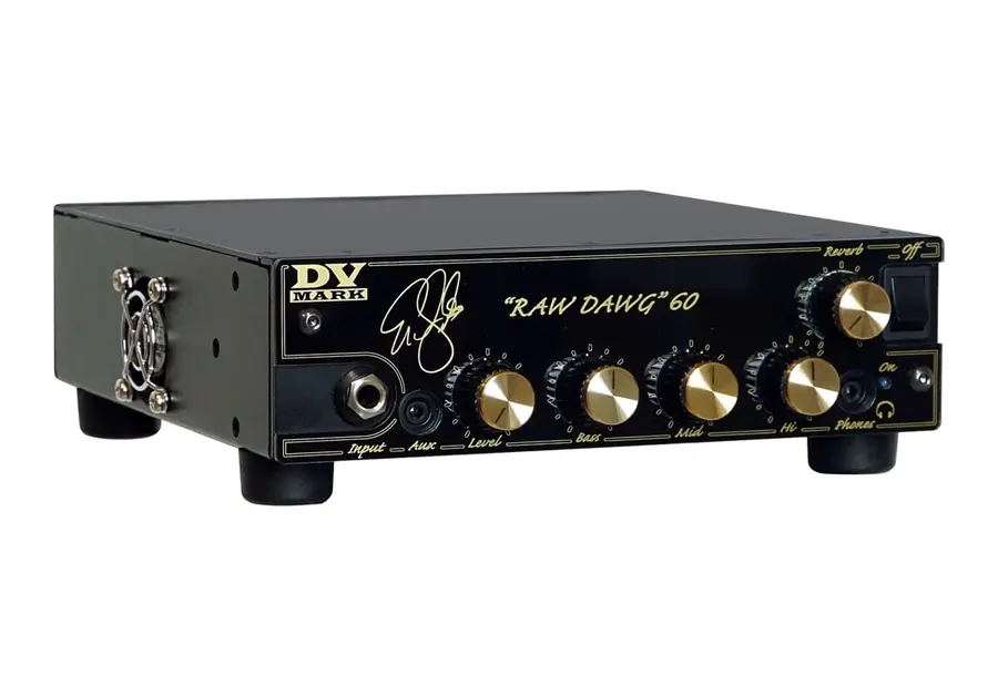 DV Mark DV Raw Dawg 60 60w Guitar Amplifier 