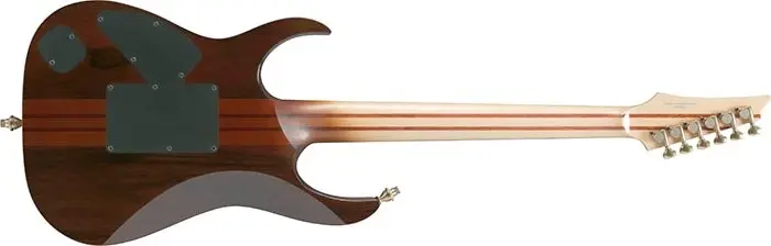 Ibanez IV1RG RG Visions 