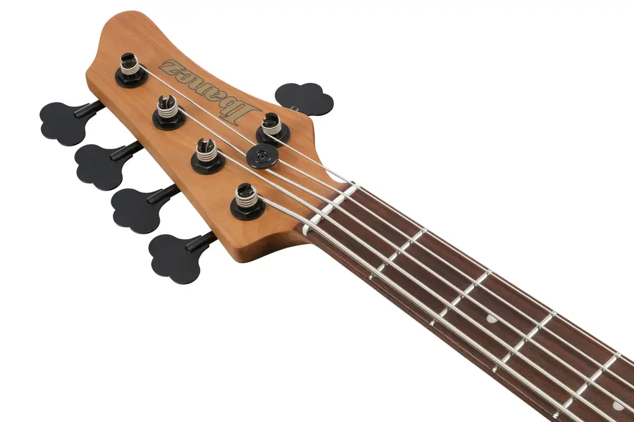 Ibanez MDM1605-DTW MODE Series, 5-str. 