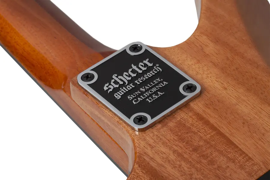 Schecter Synyster Standard Plus Gloss Natural 