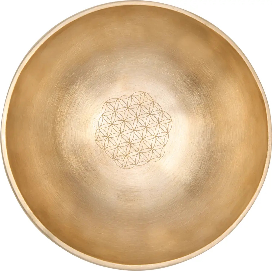 Meinl Sonic Energy SB-SET-FOL600 Flower of Life Singing Bowl Set 