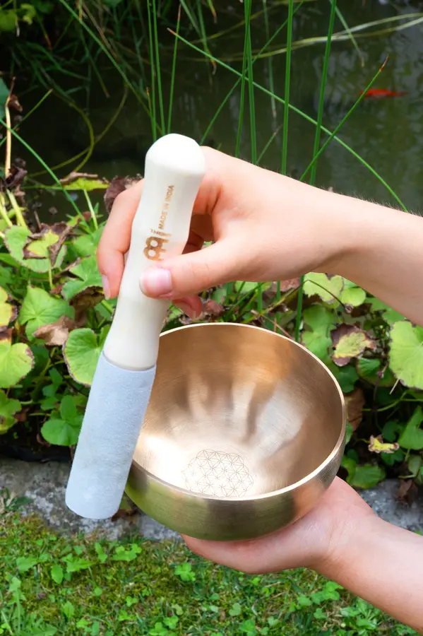 Meinl Sonic Energy SB-SET-FOL600 Flower of Life Singing Bowl Set 
