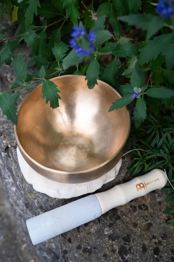 Meinl Sonic Energy SB-SET-FOL600 Flower of Life Singing Bowl Set 