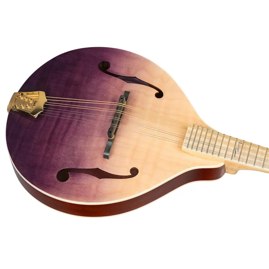 Ortega RMA200PF Mandolin A-style m. Croco etui, Americana Series 
