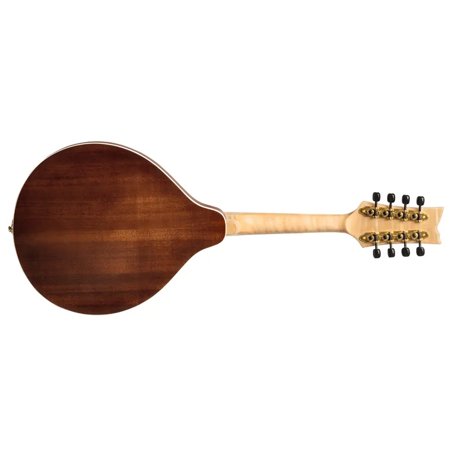 Ortega RMA200PF Mandolin A-style m. Croco etui, Americana Series 