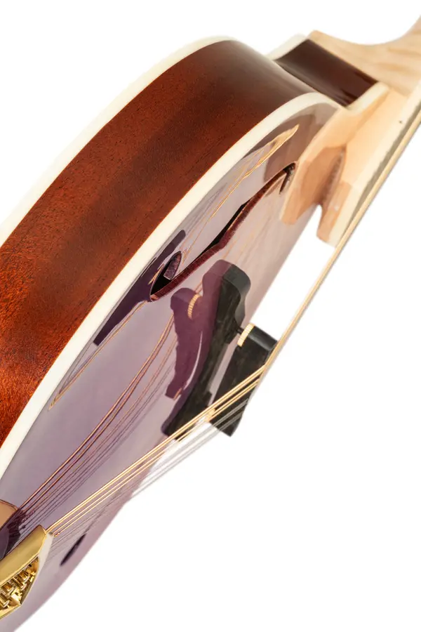 Ortega RMA200PF Mandolin A-style m. Croco etui, Americana Series 