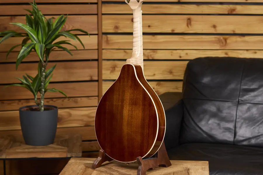 Ortega RMA200PF Mandolin A-style m. Croco etui, Americana Series 