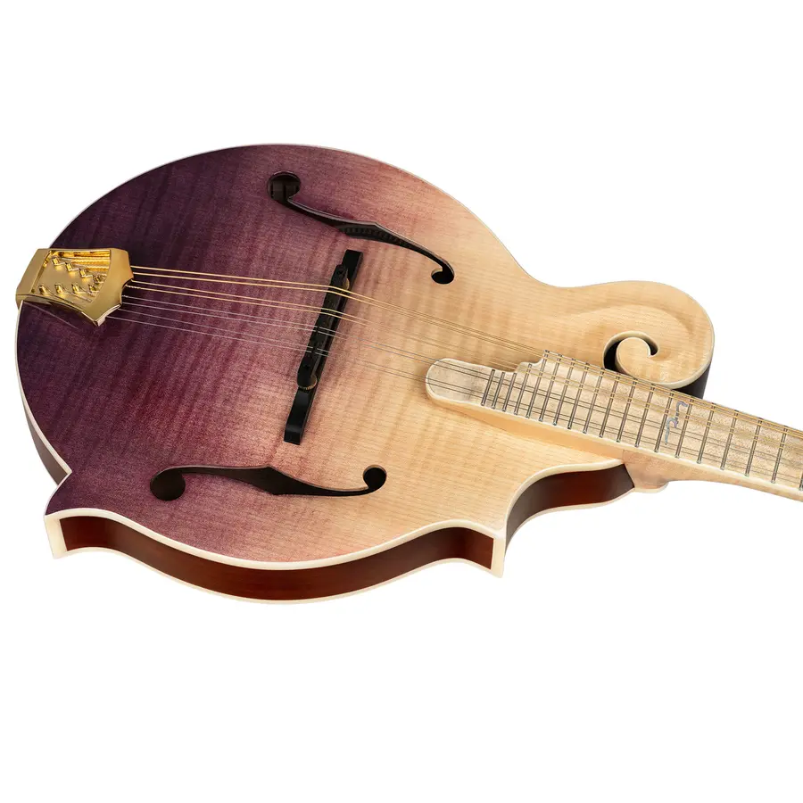 Ortega RMF200PF Mandolin F-style m. Croco etui, Americana Series 