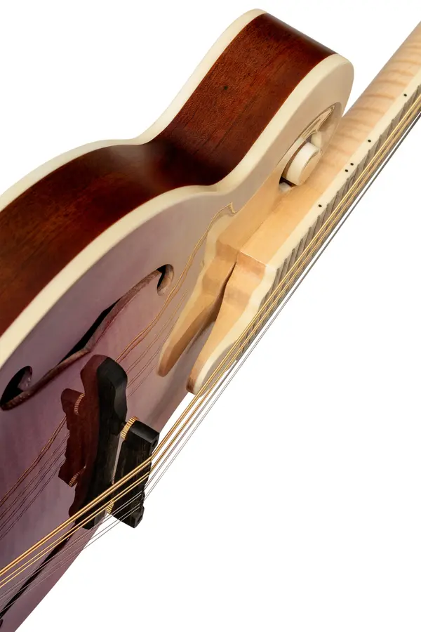 Ortega RMF200PF Mandolin F-style m. Croco etui, Americana Series 